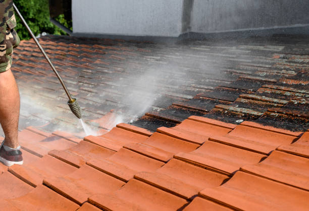 Trusted Kalaheo, HI Pressure Washing Experts