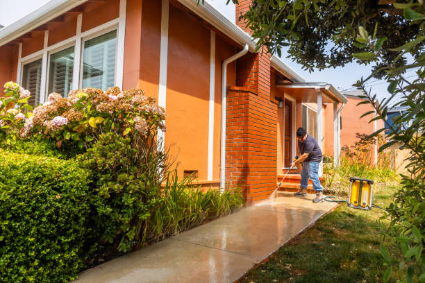 Local Pressure Washing Services in Kalaheo, HI